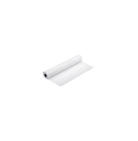 EPSON S042006 polmatowy proofing papier white inkjet 256g/m2 1118mm x 30.5m 1 rolka 1-pack