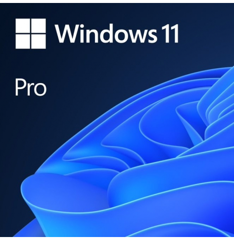 Microsoft Windows 11 Pro All Language ESD