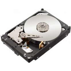 Dysk serwerowy Seagate Enterprise Capacity HDD, 3.5'', 1TB, SATA/600, 7200RPM, 128MB cache